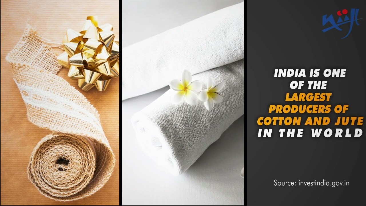 Digital NIIFT GIF DYK